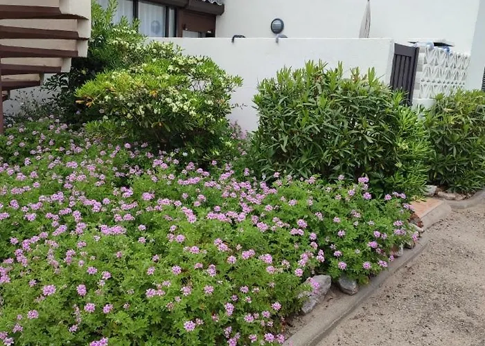 L'equinoxe * لوسات